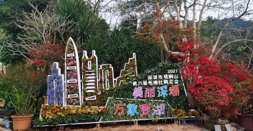 美丽深圳，万象罗湖，梧桐山毛杜鹃花会导视标识项目案例